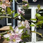 De Heer Bergen