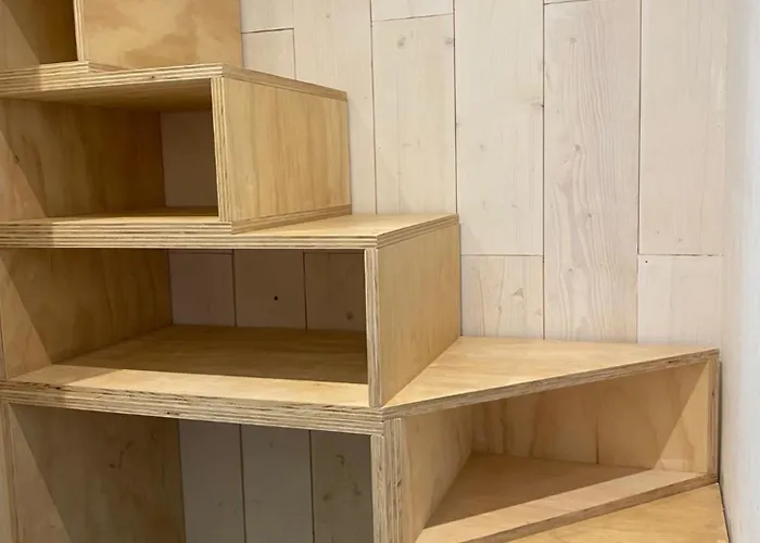 De Heer Сasa de vacaciones