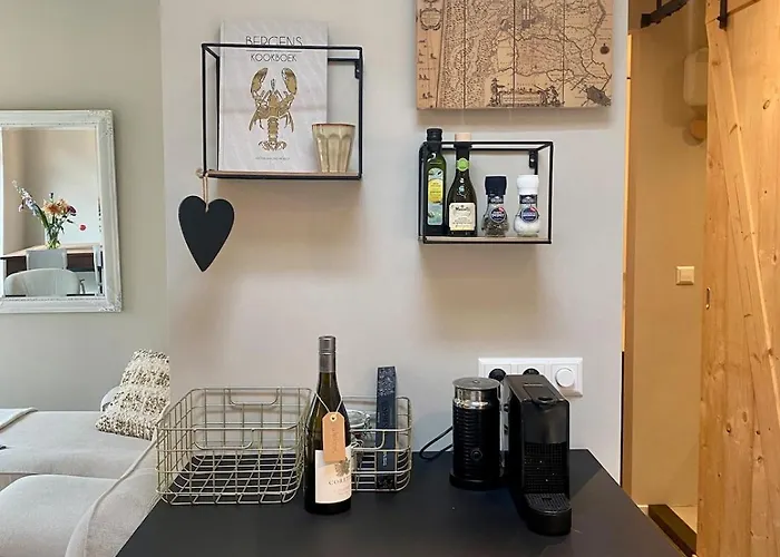 De Heer Сasa de vacaciones *